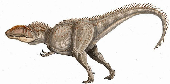 Top 10 loài khủng long ăn thịt nguy hiểm nhất thời tiền sử - Ảnh 2.