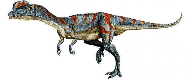 Top 10 loài khủng long ăn thịt nguy hiểm nhất thời tiền sử - Ảnh 9.