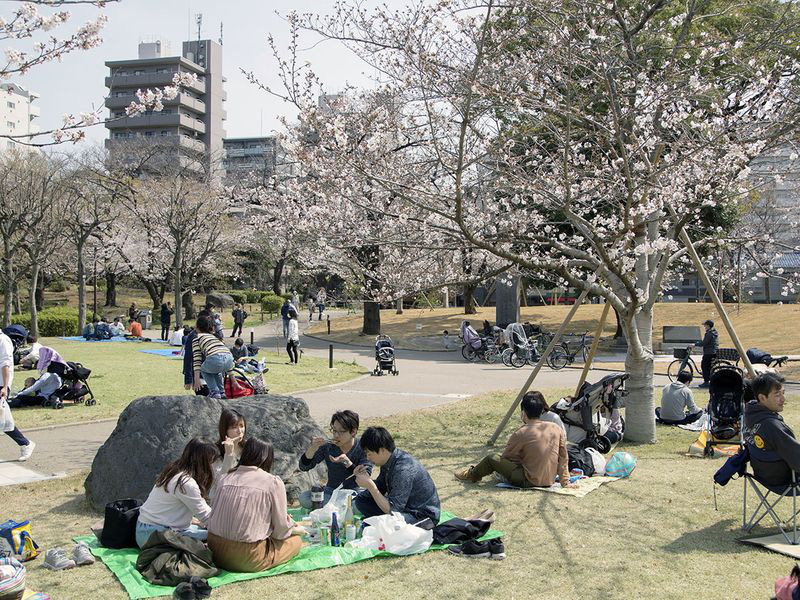 Bất chấp cảnh báo về dịch Covid-19, nhiều người ở Nhật vẫn đổ xô đi ngắm hoa anh đào và xem sự kiện tại sân vận động mà không đeo khẩu trang - Ảnh 4.