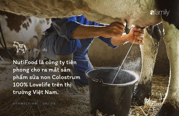 Củng cố hệ miễn dịch với các loại vitamin và khoáng chất - Ảnh 6. Củng cố hệ miễn dịch với các loại vitamin và khoáng chất - Ảnh 6.