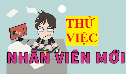 6 biểu hiện bạn trẻ nên có trong thời gian thử việc - Ảnh 1. 6 biểu hiện bạn trẻ nên có trong thời gian thử việc - Ảnh 1.