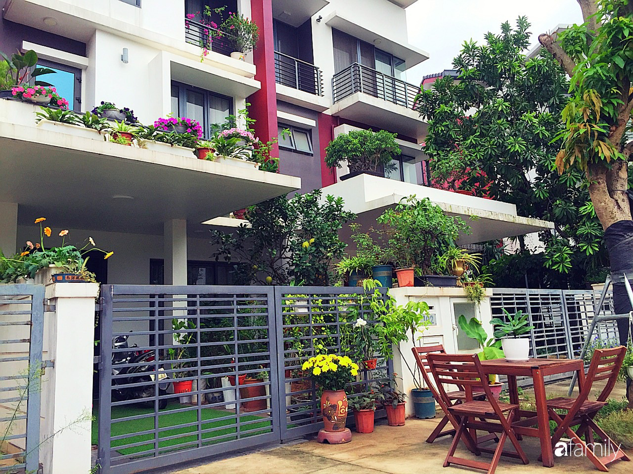 Không gian sống ngát hương bên khu vườn ngập tràn nắng ấm và rực rỡ sắc hoa ở Hà Nội - Ảnh 5. Không gian sống ngát hương bên khu vườn ngập tràn nắng ấm và rực rỡ sắc hoa ở Hà Nội - Ảnh 5.