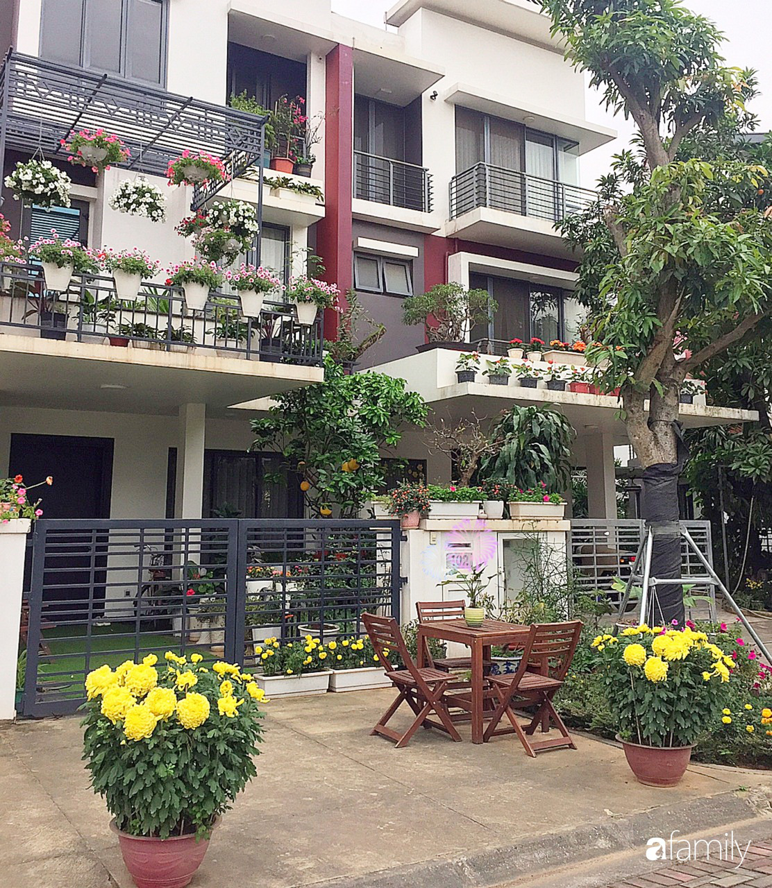Không gian sống ngát hương bên khu vườn ngập tràn nắng ấm và rực rỡ sắc hoa ở Hà Nội - Ảnh 4. Không gian sống ngát hương bên khu vườn ngập tràn nắng ấm và rực rỡ sắc hoa ở Hà Nội - Ảnh 4.