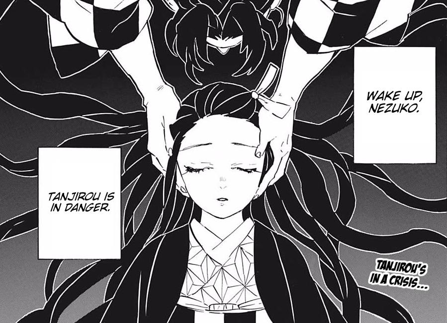 Kimetsu no Yaiba: Liệu trùm cuối Muzan đã thực sự chết hay chưa, trong khi những nhân vật quan trọng này còn chưa thể hiện gì? - Ảnh 5.