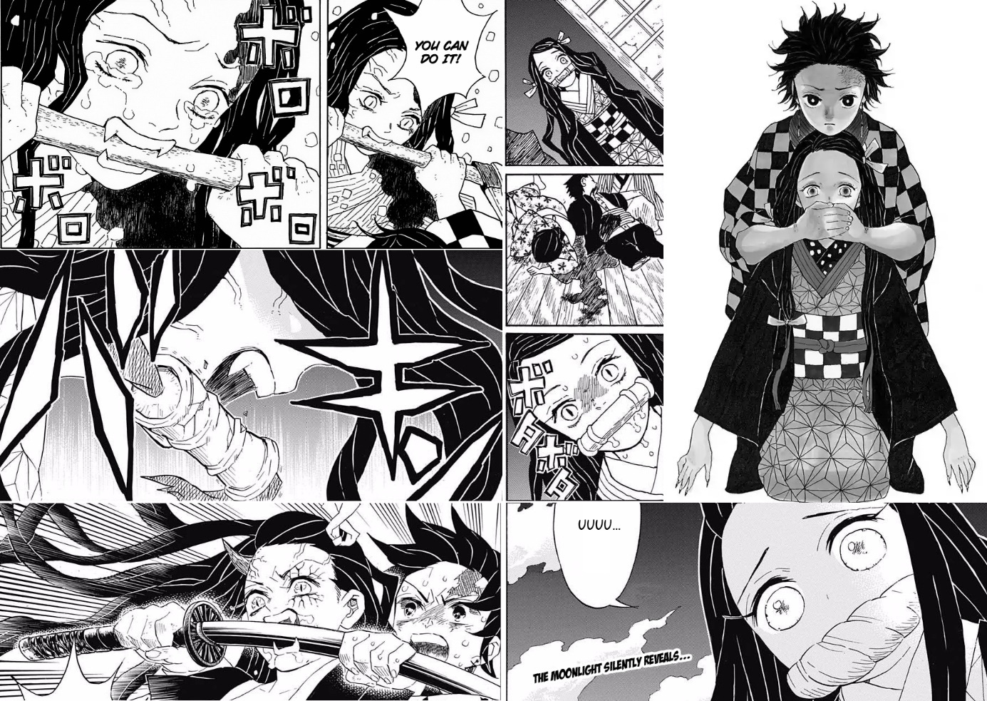 Kimetsu no Yaiba: Vì sao Nezuko sau khi hóa quỷ luôn phải ngậm ống tre? - Ảnh 7.