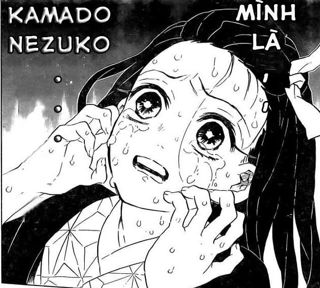 Kimetsu no Yaiba: Lý do Muzan giết hại gia đình của Tanjiro đã được hé lộ, hóa ra mọi việc đều trong sự tính toán của chúa Quỷ - Ảnh 3.