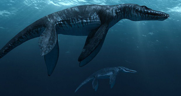 Top 10 sinh vật siêu khổng lồ thời tiền sử dễ bị nhầm thành khủng long - Ảnh 1.