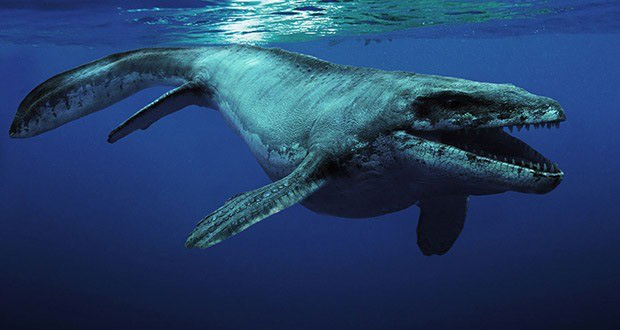Top 10 sinh vật siêu khổng lồ thời tiền sử dễ bị nhầm thành khủng long - Ảnh 10.