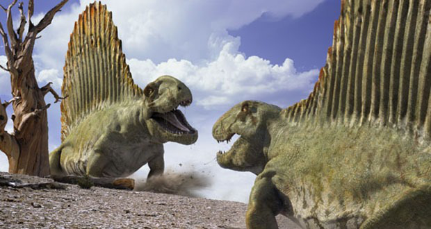 Top 10 sinh vật siêu khổng lồ thời tiền sử dễ bị nhầm thành khủng long - Ảnh 3.