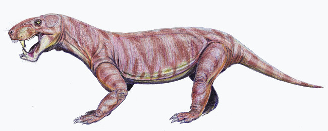 Top 10 sinh vật siêu khổng lồ thời tiền sử dễ bị nhầm thành khủng long - Ảnh 9.