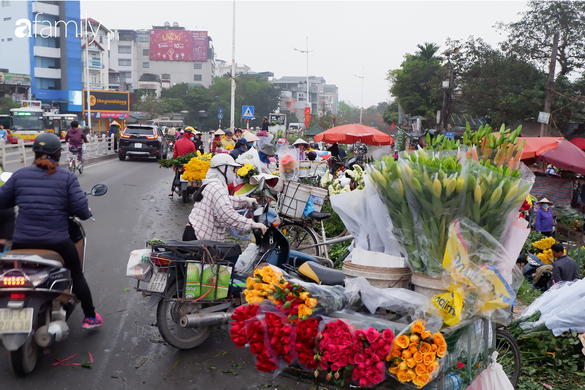 Tấp nập chợ hoa đêm Quảng An ngày Quốc tế Phụ nữ 8/3 - Ảnh 4. Tấp nập chợ hoa đêm Quảng An ngày Quốc tế Phụ nữ 8/3 - Ảnh 4.