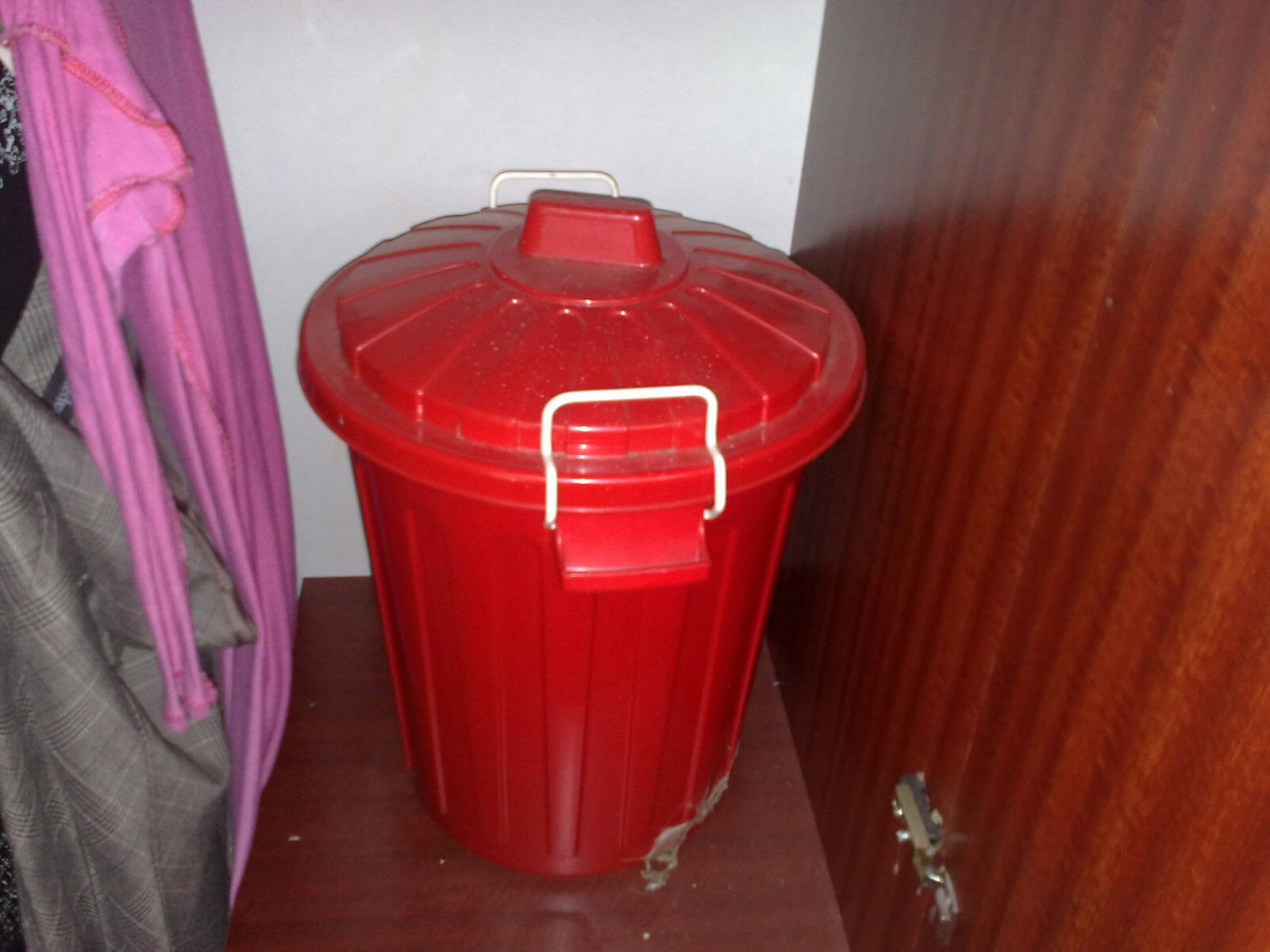 Bí mật động trời của bà mẹ giấu xác 4 đứa con sinh non trong thùng rác rồi nhét tủ quần áo suốt 20 năm, nhà bốc mùi vẫn không ai phát hiện - Ảnh 3.