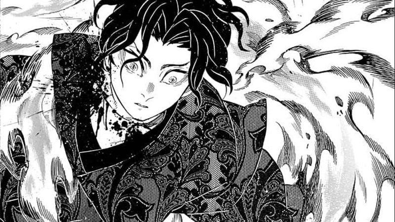 Kimetsu no Yaiba: Được mệnh danh là kiếm sĩ huyền thoại nhưng đây là 5 thất bại lớn nhất trong cuộc đời của Yoriichi Tsugikuni - Ảnh 2.