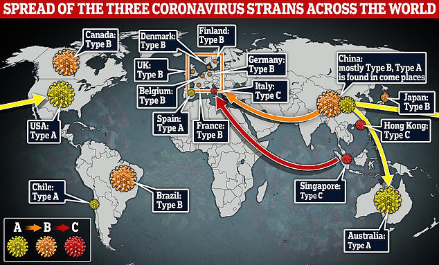 Bí ẩn biến thể COVID-19 đã hoành hành tại Trung Quốc từ sớm, còn Mỹ lại bị virus nguyên bản tấn công - Ảnh 1.