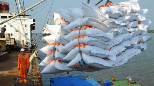 Thủ tướng chỉ đạo tháo gỡ khó khăn cho xuất khẩu gạo - Ảnh 1.
