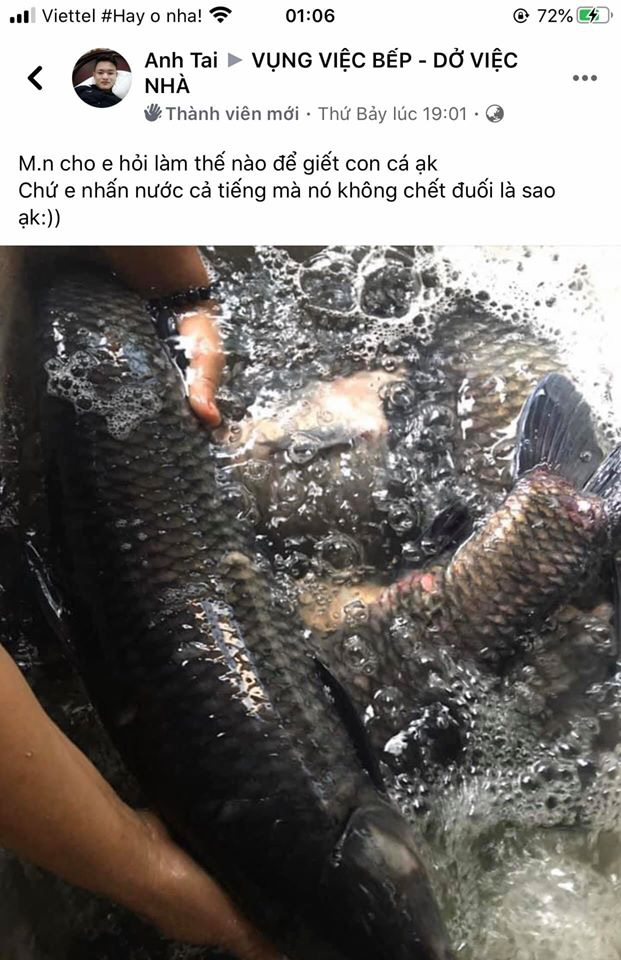 Loạt ảnh đồ ăn dở khóc dở cười của cư dân mạng Việt trong những ngày cách ly - Ảnh 3.