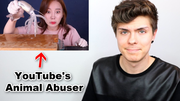 Đăng tải clip ăn nguyên một con bạch tuộc sống, nữ YouTuber sở hữu 3,5 triệu lượt theo dõi gây phẫn nộ trong cộng đồng mạng, có người đòi xóa luôn tài khoản - Ảnh 11.