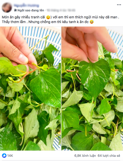 Món rau gây “mâu thuẫn gia đình”: người ăn được thì sẽ thích mê, kẻ ngửi mùi thôi đã… xây xẩm mặt mày - Ảnh 2. Món rau gây “mâu thuẫn gia đình”: người ăn được thì sẽ thích mê, kẻ ngửi mùi thôi đã… xây xẩm mặt mày - Ảnh 2.