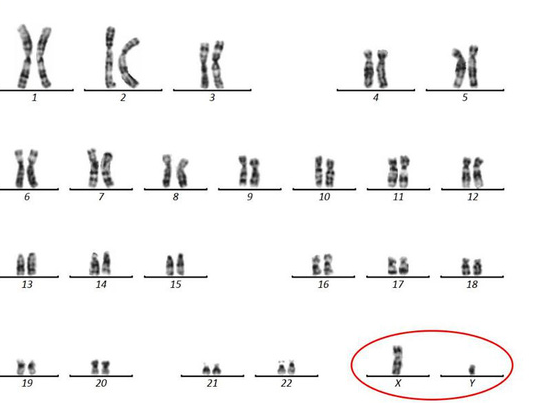 4 năm chạy chữa vô sinh, người đàn ông chết lặng khi biết nguyên nhân không thể có con - Ảnh 1.