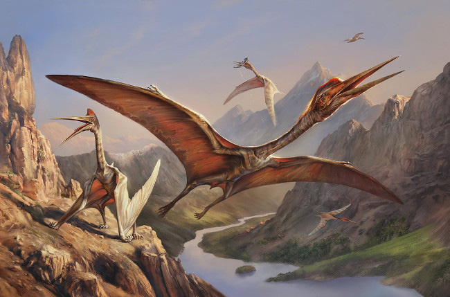 Thằn lằn bay Quetzalcoatlus – Sinh vật khiến khủng long T-rex phải khiếp sợ - Ảnh 5.