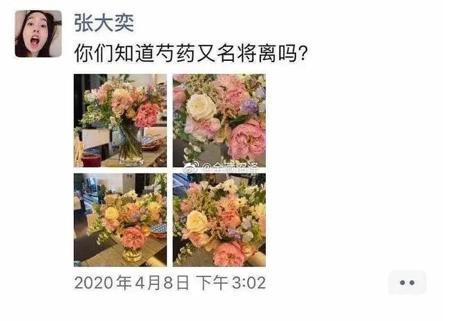 Dân mạng &quot;đào mộ&quot; quá khứ của hotgirl vướng nghi án cặp kè với chủ tịch Taobao đã có vợ: Hơn 1 năm không có bạn trai nhưng lại muốn sinh con vào tháng 3 - Ảnh 4.