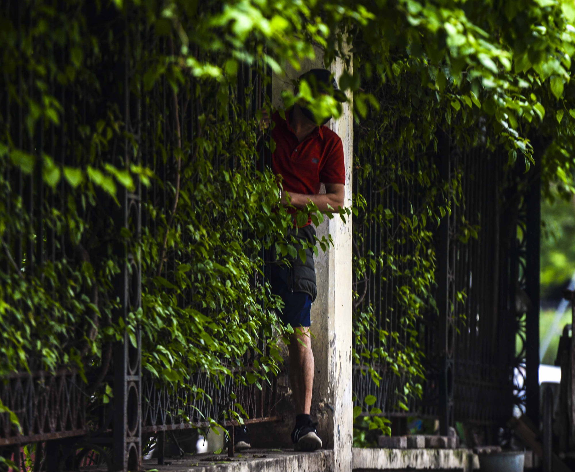 Người Hà Nội chui rào vào Công viên Thống Nhất tập thể dục, câu cá giữa dịch Covid-19 - Ảnh 11.