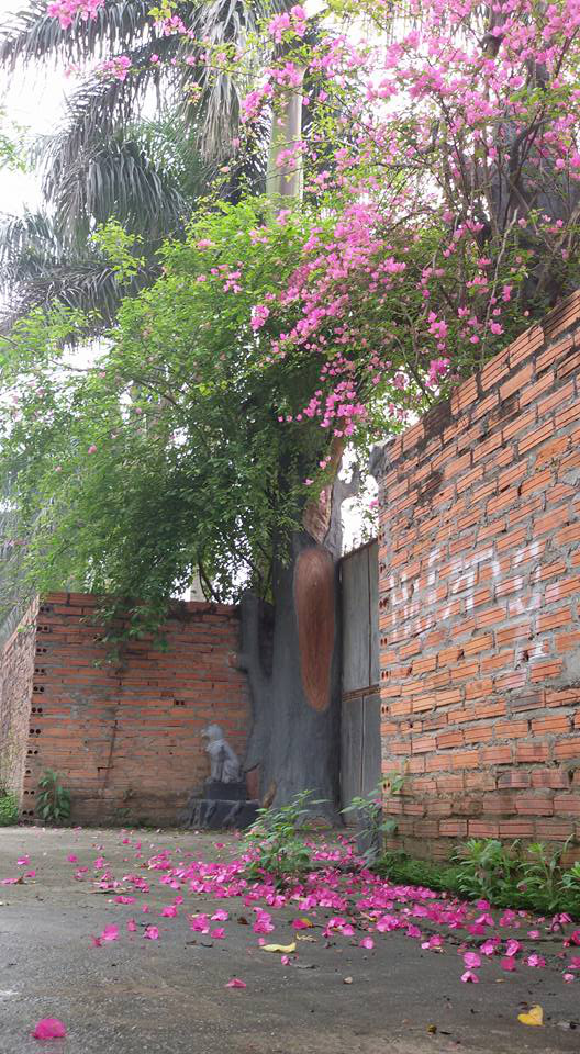 Nhà vườn 10.000m2 của nghệ sĩ Giang còi ngập hoa và trái cây - Ảnh 16.