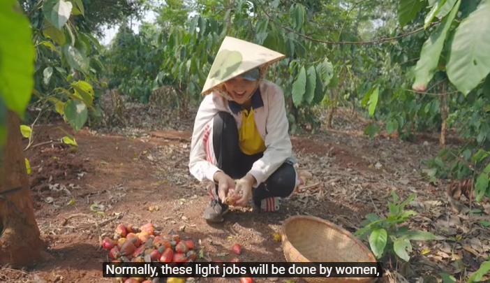 Nhật kí một ngày "tránh dịch" của H'Hen Niê: Lên rẫy hái điều, cuốc đất trồng rau đều là "chuyện vặt" - Ảnh 4. Nhật kí một ngày "tránh dịch" của H'Hen Niê: Lên rẫy hái điều, cuốc đất trồng rau đều là "chuyện vặt" - Ảnh 4.