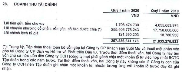 Ocean Group (OGC): Quý 1 lãi 220 tỷ đồng, tăng đột biến so với cùng kỳ - Ảnh 2.