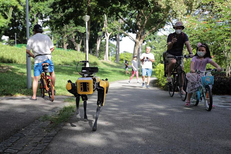 Singapore dùng chó robot để đảm bảo người dân tuân thủ việc cách ly xã hội - Ảnh 1.