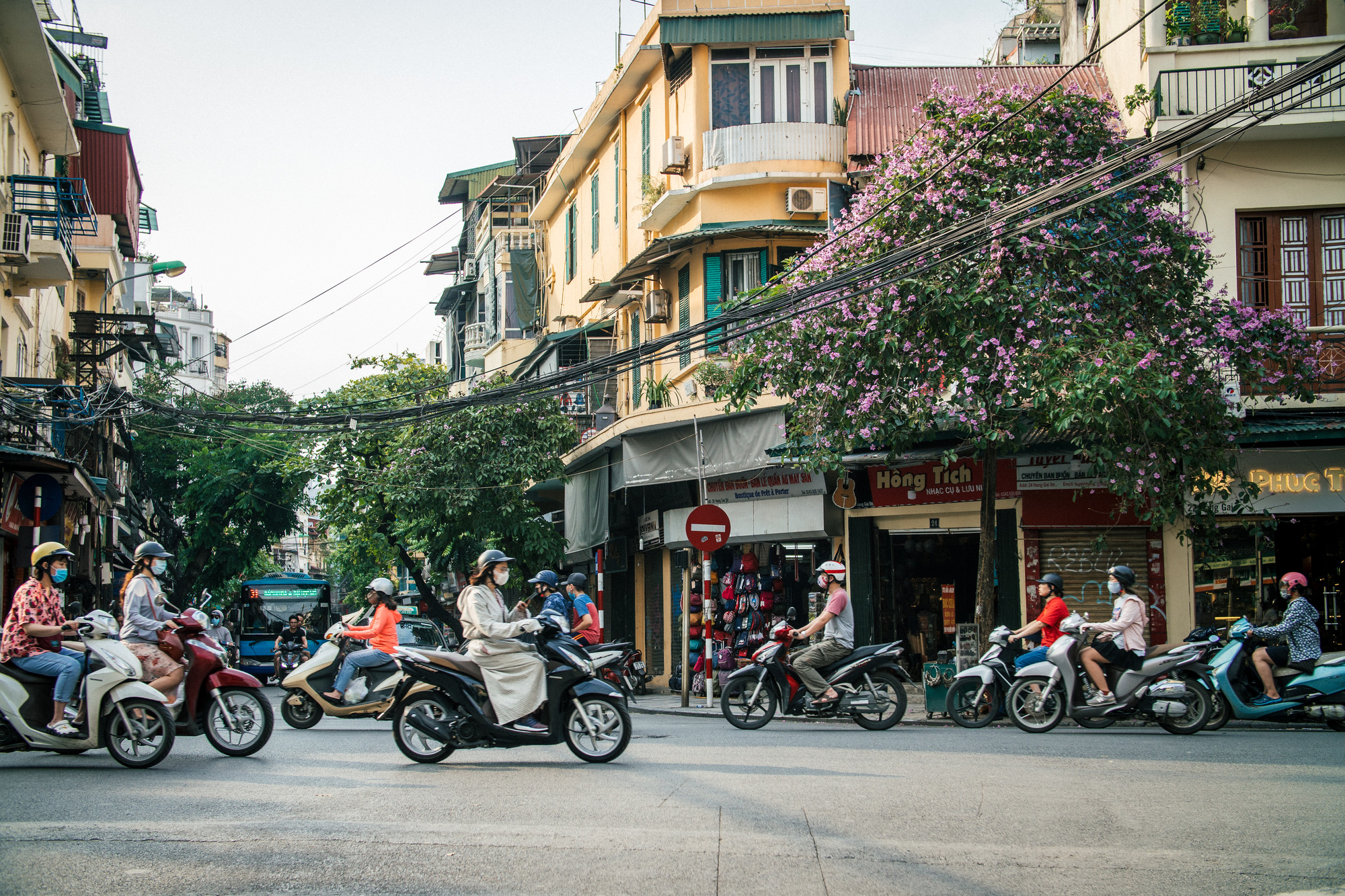 Bằng Lăng nhuộm tím phố phường Hà Nội - Ảnh 1.