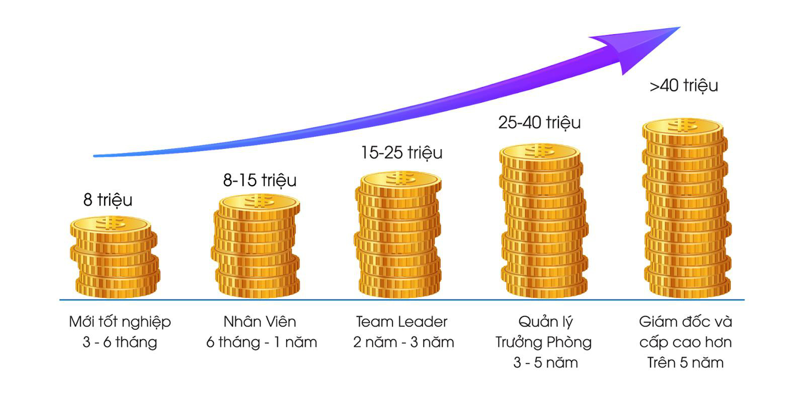 Tiết kiệm thanh xuân với 2.5 năm học công nghệ thông tin - Ảnh 4. Tiết kiệm thanh xuân với 2.5 năm học công nghệ thông tin - Ảnh 4.