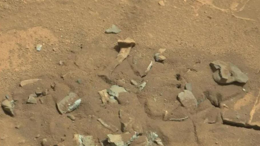 Những bức ảnh chụp trên Sao Hỏa kỳ lạ nhất thế giới: Toàn đất đá mà nhìn ra đủ thứ, từ động vật, thực vật cho đến cả mặt người - Ảnh 6.
