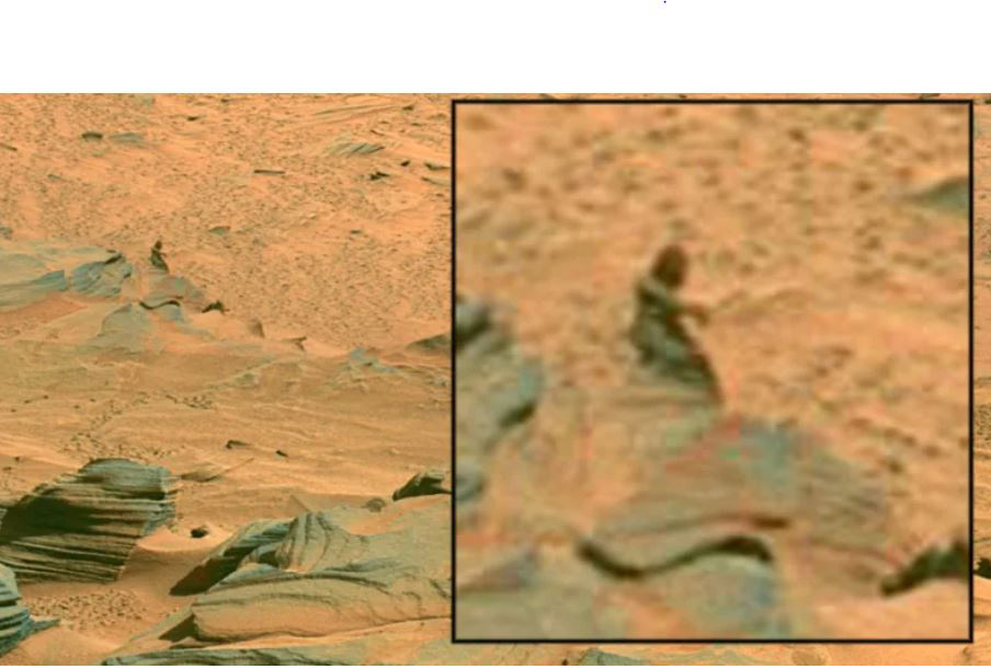 Những bức ảnh chụp trên Sao Hỏa kỳ lạ nhất thế giới: Toàn đất đá mà nhìn ra đủ thứ, từ động vật, thực vật cho đến cả mặt người - Ảnh 9.
