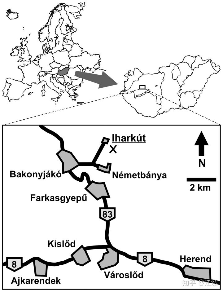 Pannoniasaurus: Quái vật dài 6 mét ở vùng nước ngọt của Hungary - Ảnh 1.