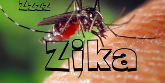 Phát hiện 1 nam thanh niên ở Đà Nẵng mắc virus Zika: Bệnh do virus Zika là gì và nguy hiểm như thế nào? - Ảnh 1.