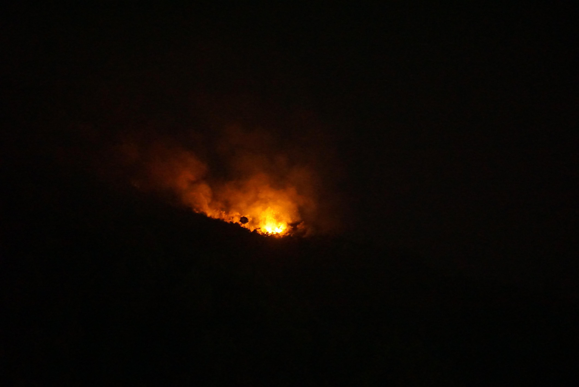 Đang cháy lớn tại đỉnh núi Sọ ở Đà Nẵng, lực lượng chức năng chưa thể tiếp cận - Ảnh 1.