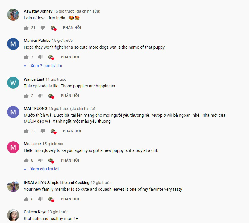 Không còn chỉ phủ sóng trong nước, kênh Youtube Ẩm thực mẹ làm nay còn hút fan quốc tế với hàng loạt bình luận “cưng” hết sức - Ảnh 3.