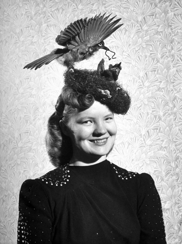 Những bức ảnh đen trắng hiếm có khó tìm và vô cùng kỳ lạ cho thấy phụ nữ thời xưa có thể đội bất cứ thứ gì lên đầu để làm đẹp, tổ chim cũng thành &quot;cực phẩm&quot; - Ảnh 20.