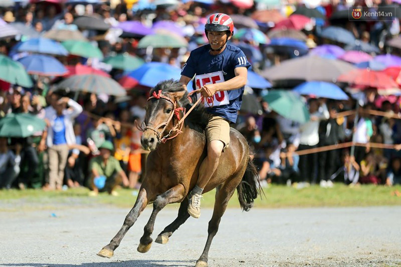 Lần đầu tiên có nài ngựa nữ tham gia đua ngựa Bắc Hà - Ảnh 11.