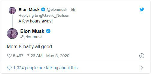 Elon Musk vừa làm cha lần thứ 6 - Ảnh 1.