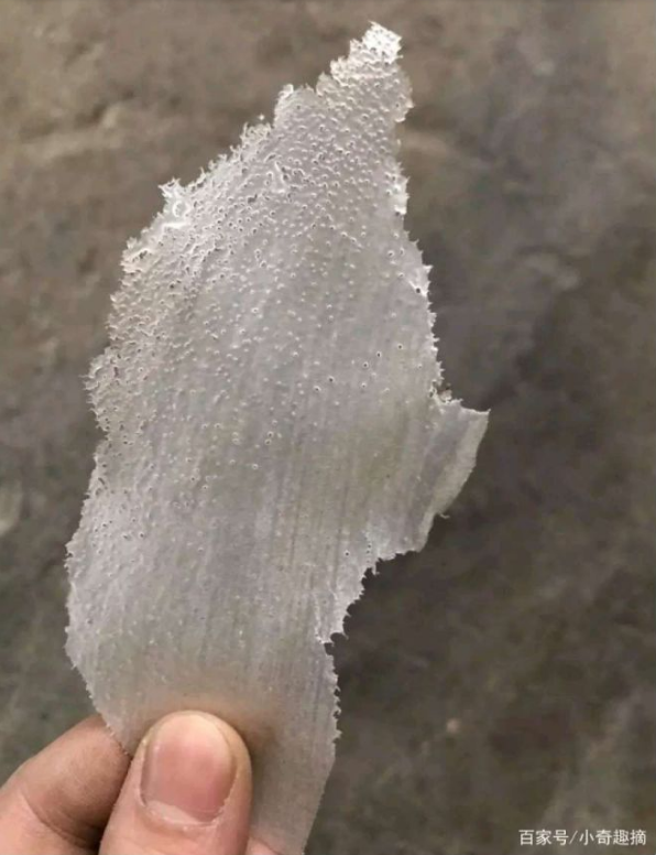 Ngày lập hạ cùng chiêm ngưỡng loạt ảnh những &quot;hoa tuyết mùa hè&quot; ấn tượng nhất khiến người xem vừa ớn lạnh vừa ngứa ngáy da đầu - Ảnh 6.