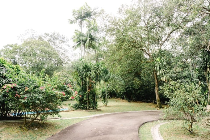 Nhà cổ Singapore của gia đình Bằng Lăng như khu nghỉ dưỡng - Ảnh 11.