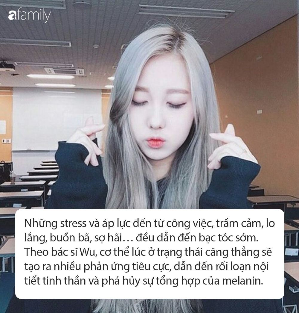 Stress nặng sẽ làm tóc bạc chỉ trong một thời gian ngắn: Chuyên gia lý giải 5 lý do tai hại cần phải sửa để lấy lại màu tóc đen tự nhiên nhất - Ảnh 5.