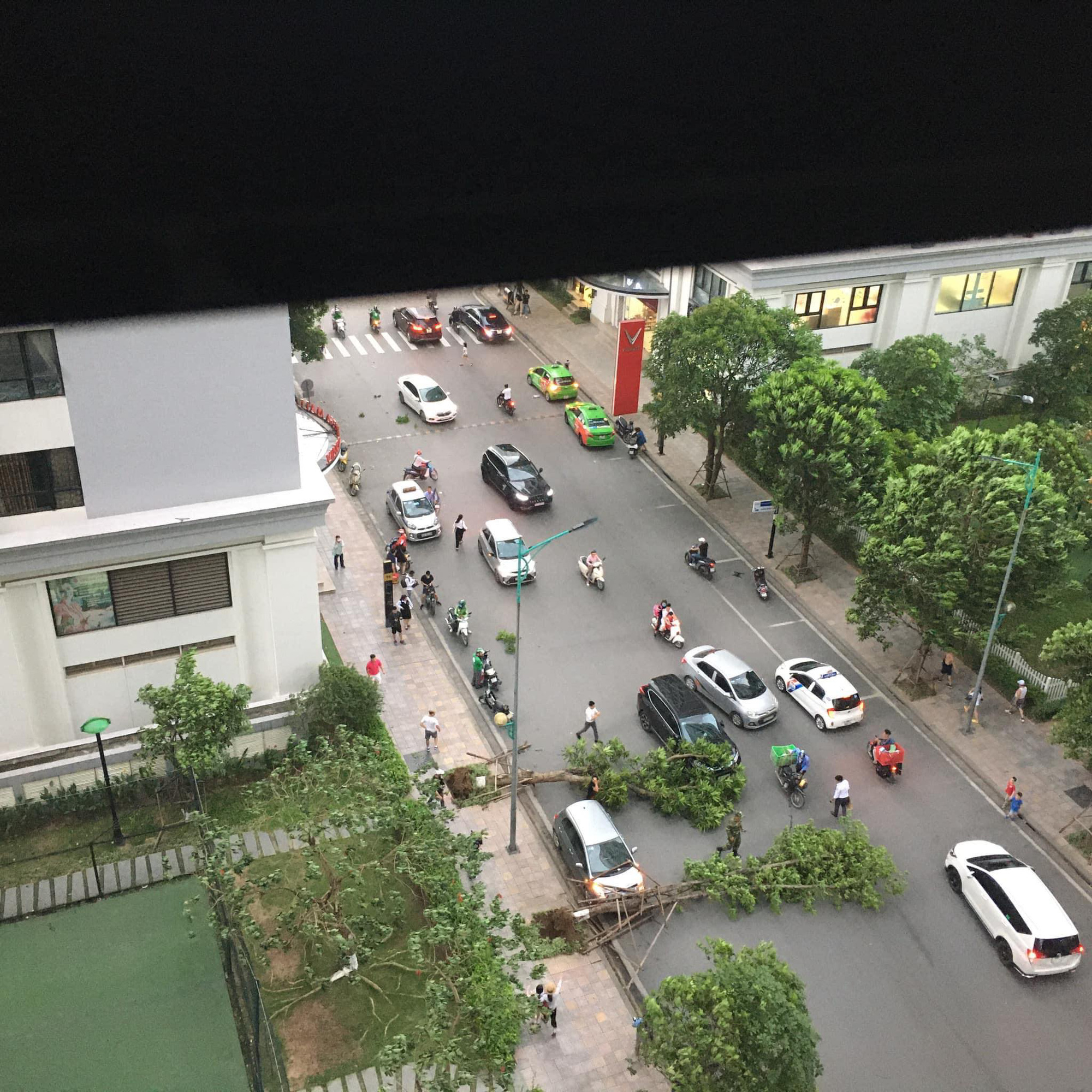 Hà Nội: Cây xanh bật gốc đè trúng ô tô đang chạy trên đường giữa cơn mưa giông bất chợt - Ảnh 1.
