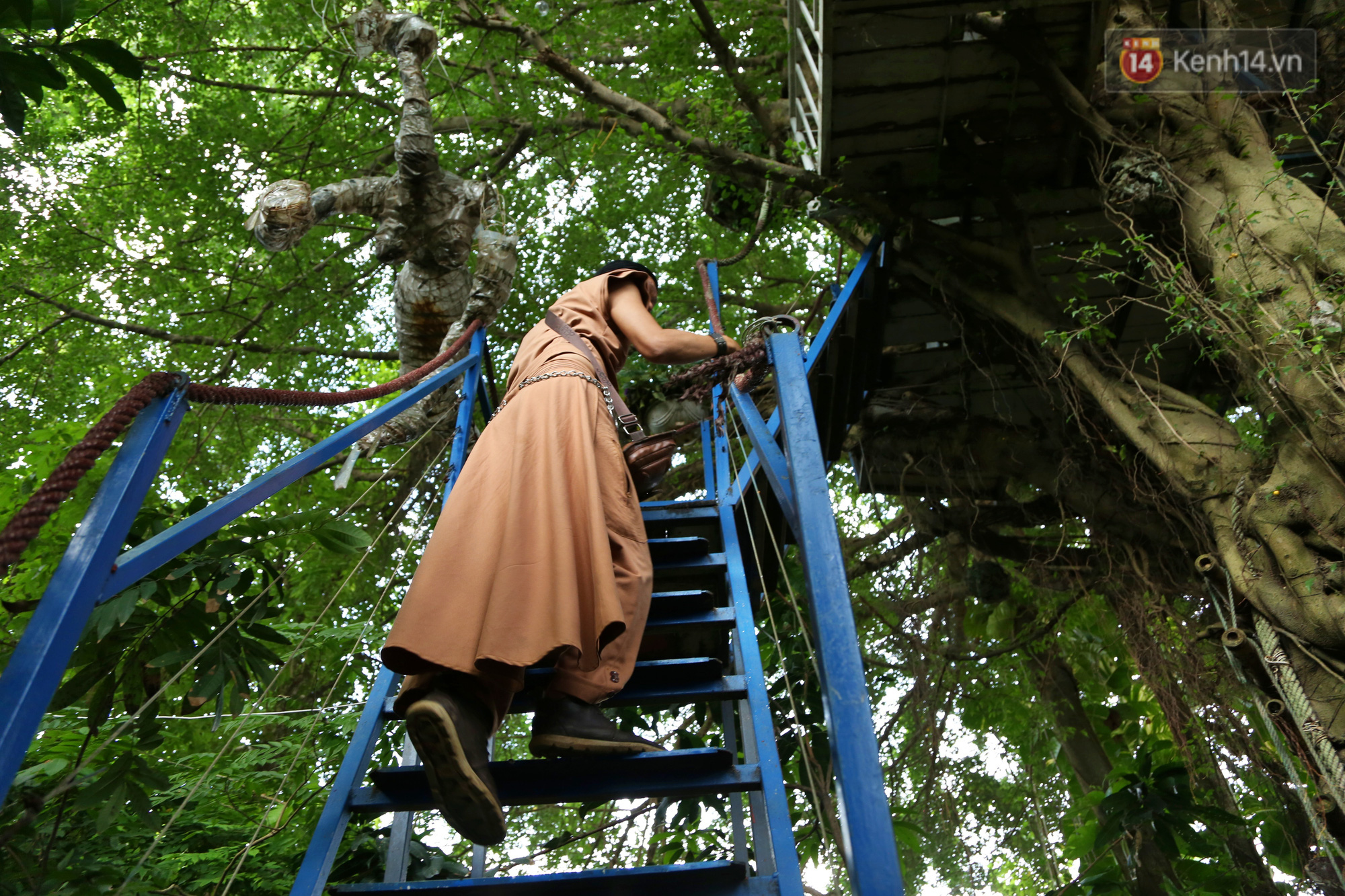 Ngay Hà Nội có một căn nhà cheo leo trên đỉnh ngọn cây của người họa sĩ 61 tuổi: Gần 20 năm trồng và đợi cây lớn - Ảnh 3.