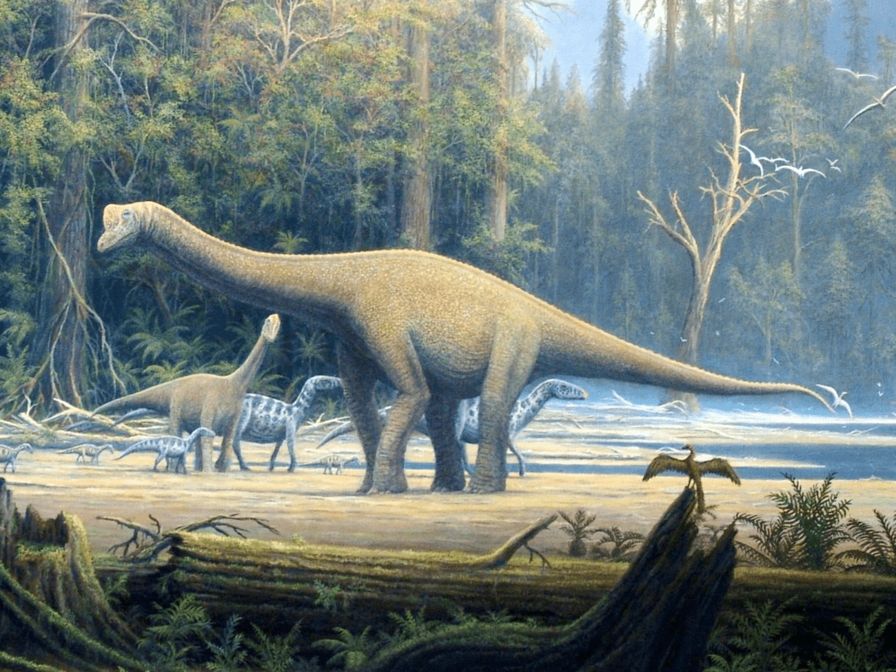 Top 10 điều có thể bạn chưa biết về khủng long, bạn đã biết được bao nhiêu? (P.2) - Ảnh 4.