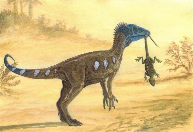Top 10 điều có thể bạn chưa biết về khủng long, bạn đã biết được bao nhiêu? (P.2) - Ảnh 3.