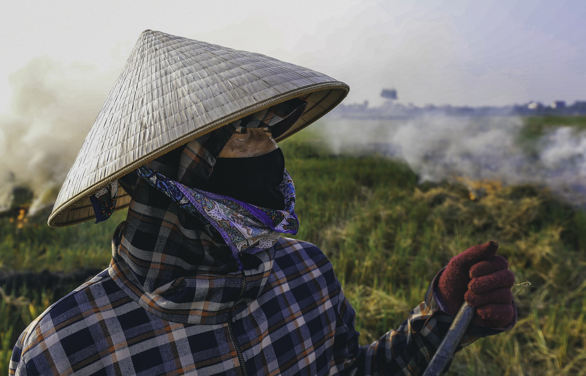 Người dân Hà Nội đốt rơm rạ khói bay mù mịt giữa cái nóng gần 40 độ, khiến không khí ngày càng ô nhiễm - Ảnh 4.