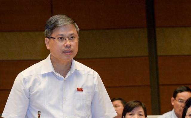 ĐB Lưu Bình Nhưỡng: Đừng đổ lỗi cho các đại biểu Quốc hội đi làm rối vấn đề - Ảnh 2.